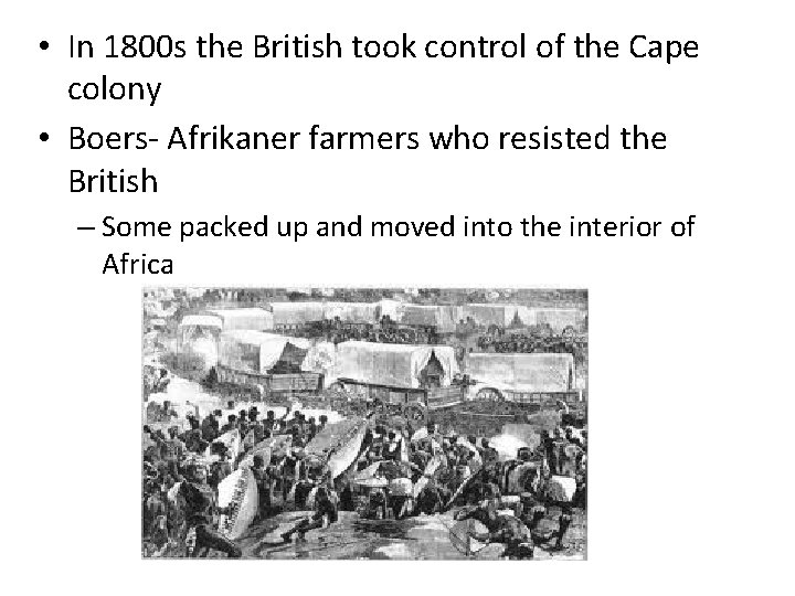  • In 1800 s the British took control of the Cape colony •