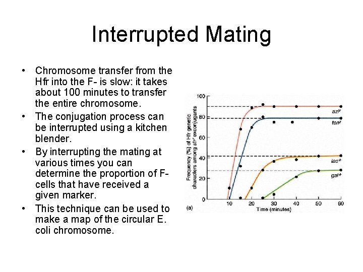 Interrupted Mating • Chromosome transfer from the Hfr into the F- is slow: it