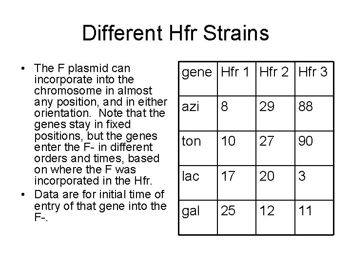 Different Hfr Strains • The F plasmid can incorporate into the chromosome in almost