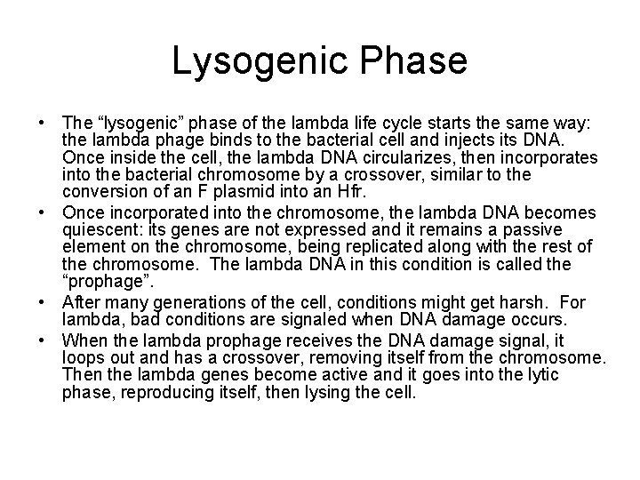 Lysogenic Phase • The “lysogenic” phase of the lambda life cycle starts the same
