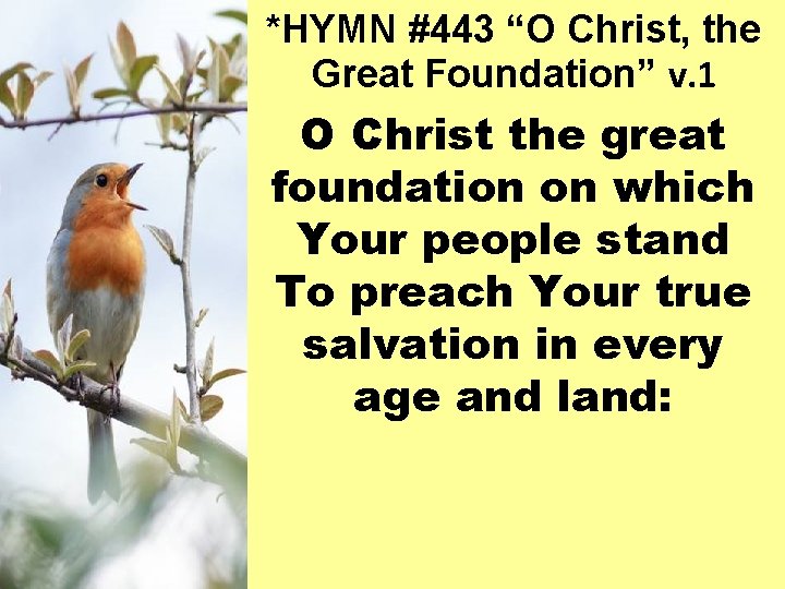 *HYMN #443 “O Christ, the Great Foundation” v. 1 O Christ the great foundation