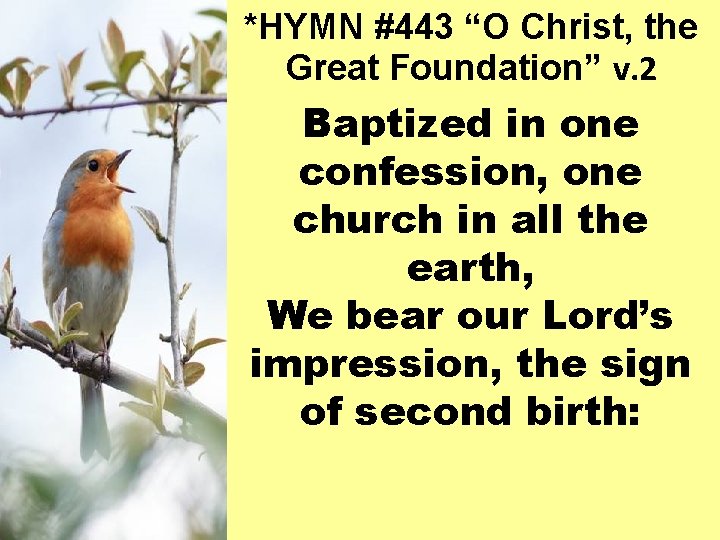 *HYMN #443 “O Christ, the Great Foundation” v. 2 Baptized in one confession, one