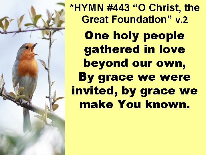 *HYMN #443 “O Christ, the Great Foundation” v. 2 One holy people gathered in