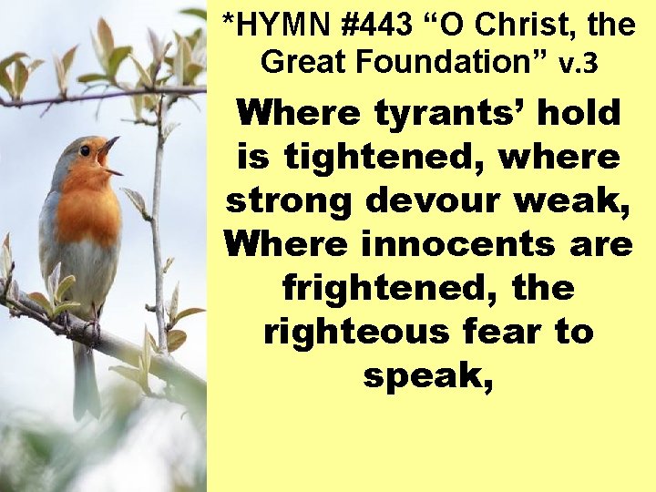 *HYMN #443 “O Christ, the Great Foundation” v. 3 Where tyrants’ hold is tightened,