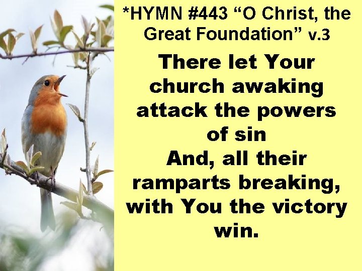 *HYMN #443 “O Christ, the Great Foundation” v. 3 There let Your church awaking