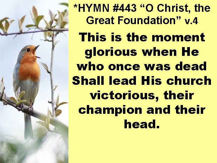 *HYMN #443 “O Christ, the Great Foundation” v. 4 This is the moment glorious