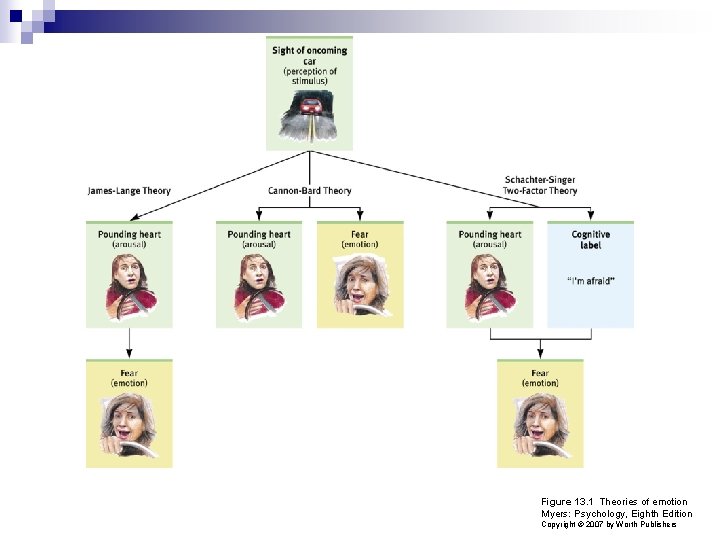Figure 13. 1 Theories of emotion Myers: Psychology, Eighth Edition Copyright © 2007 by