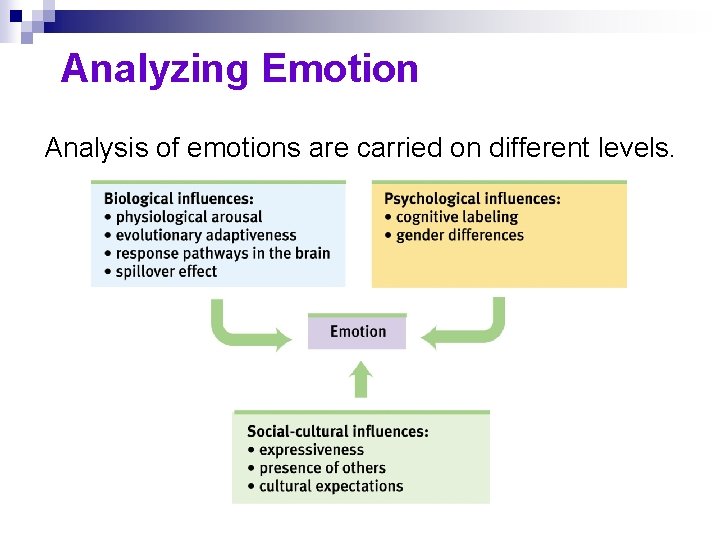 Analyzing Emotion Analysis of emotions are carried on different levels. 
