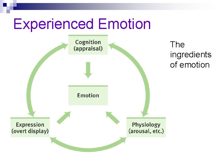 Experienced Emotion § The ingredients of emotion 