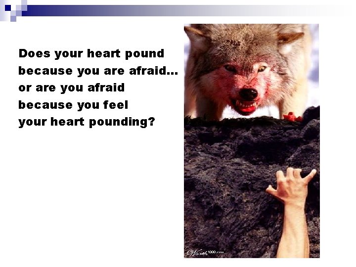 Does your heart pound because you are afraid. . . or are you afraid