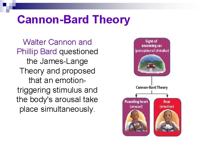 Cannon-Bard Theory Walter Cannon and Phillip Bard questioned the James-Lange Theory and proposed that