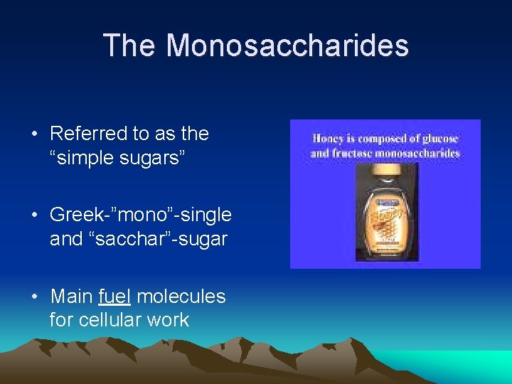 The Monosaccharides • Referred to as the “simple sugars” • Greek-”mono”-single and “sacchar”-sugar • The Monosaccharides • Referred to as the “simple sugars” • Greek-”mono”-single and “sacchar”-sugar •