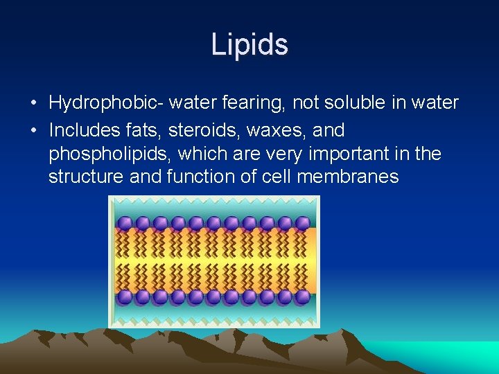 Lipids • Hydrophobic- water fearing, not soluble in water • Includes fats, steroids, waxes, Lipids • Hydrophobic- water fearing, not soluble in water • Includes fats, steroids, waxes,