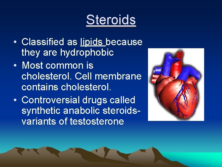 Steroids • Classified as lipids because they are hydrophobic • Most common is cholesterol. Steroids • Classified as lipids because they are hydrophobic • Most common is cholesterol.