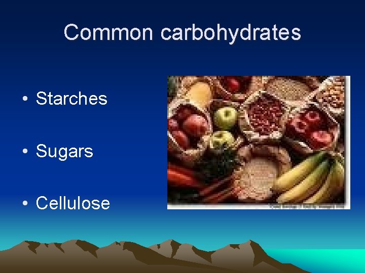 Common carbohydrates • Starches • Sugars • Cellulose Common carbohydrates • Starches • Sugars • Cellulose