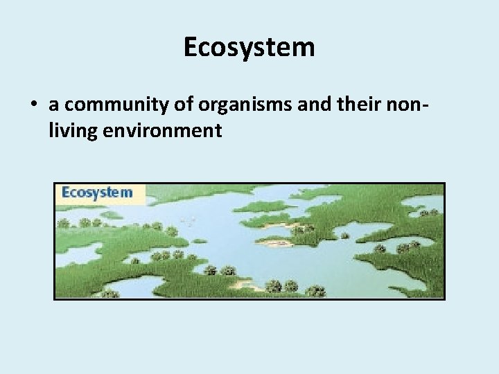 Ecosystem • a community of organisms and their nonliving environment 