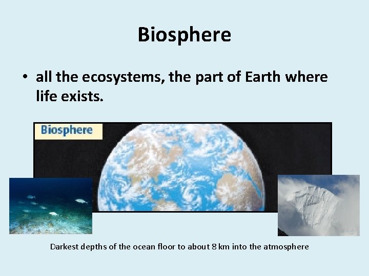 Biosphere • all the ecosystems, the part of Earth where life exists. Darkest depths