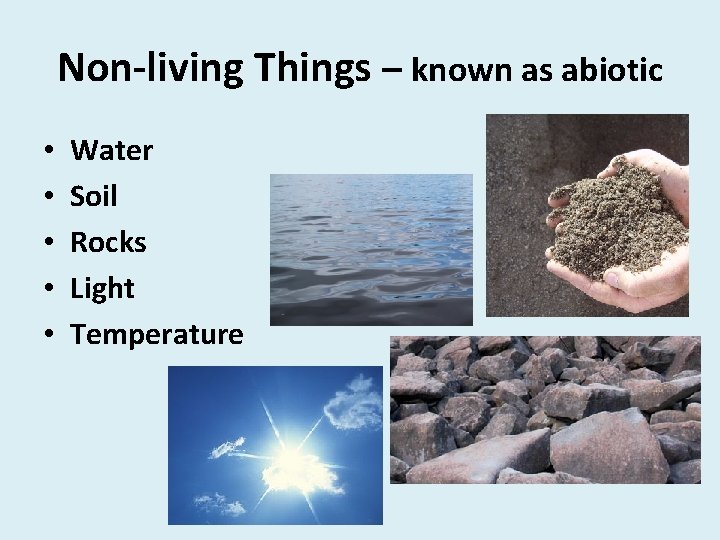 Non-living Things – known as abiotic • • • Water Soil Rocks Light Temperature
