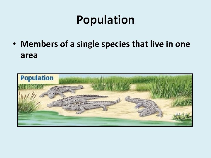 Population • Members of a single species that live in one area 