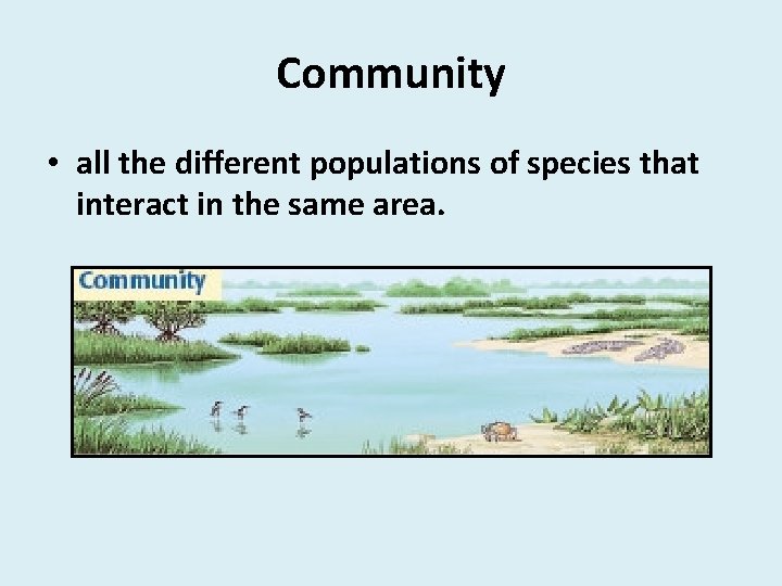 Community • all the different populations of species that interact in the same area.