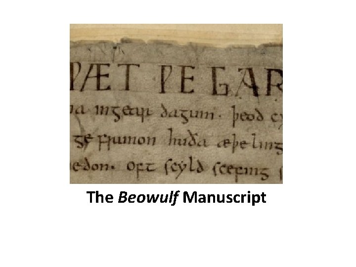 The Beowulf Manuscript 