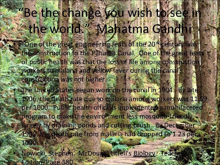 “Be the change you wish to see in the world. ” Mahatma Gandhi •