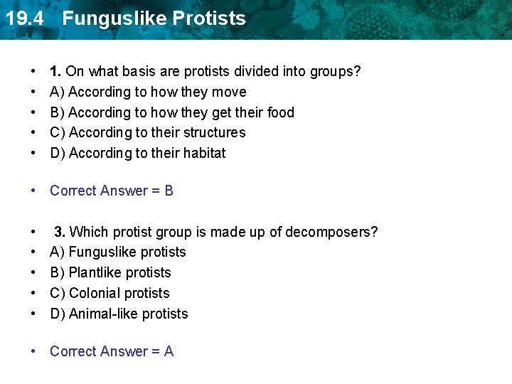 19. 4 Funguslike Protists • • • 1. On what basis are protists divided