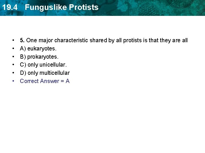 19. 4 Funguslike Protists • • • 5. One major characteristic shared by all