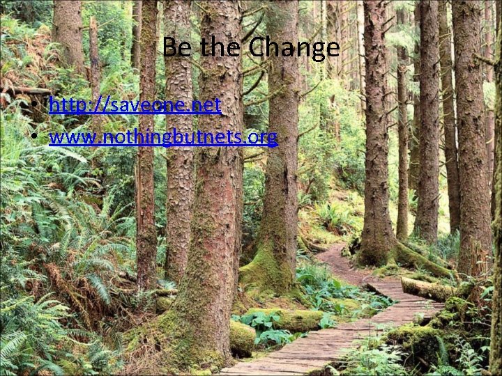 Be the Change • http: //saveone. net • www. nothingbutnets. org 