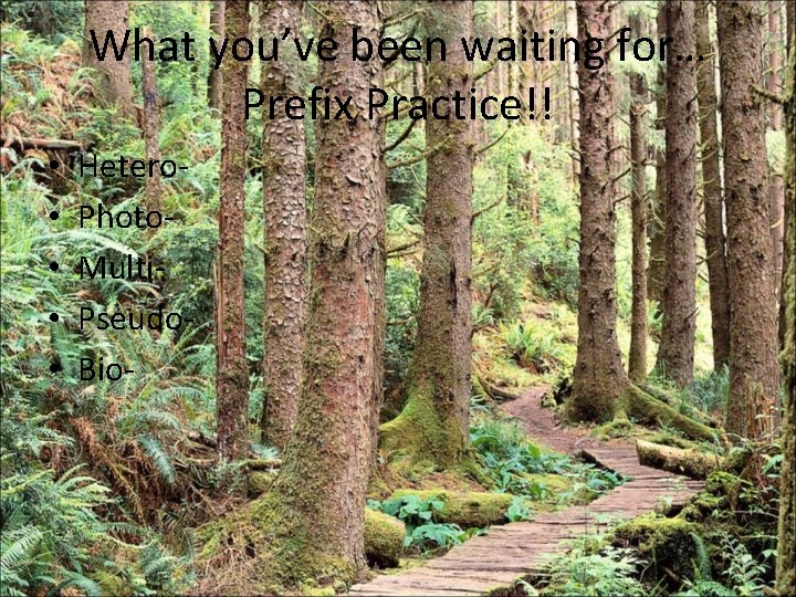 What you’ve been waiting for… Prefix Practice!! • • • Hetero. Photo. Multi. Pseudo.