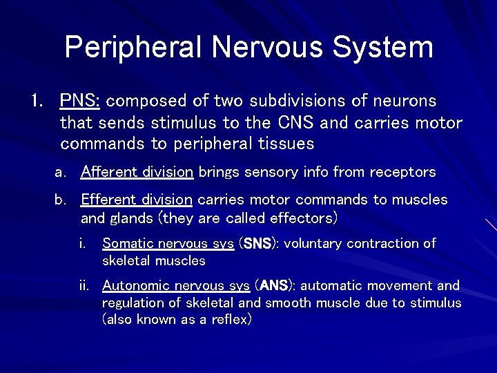 Peripheral Nervous System 1. PNS: composed of two subdivisions of neurons that sends stimulus