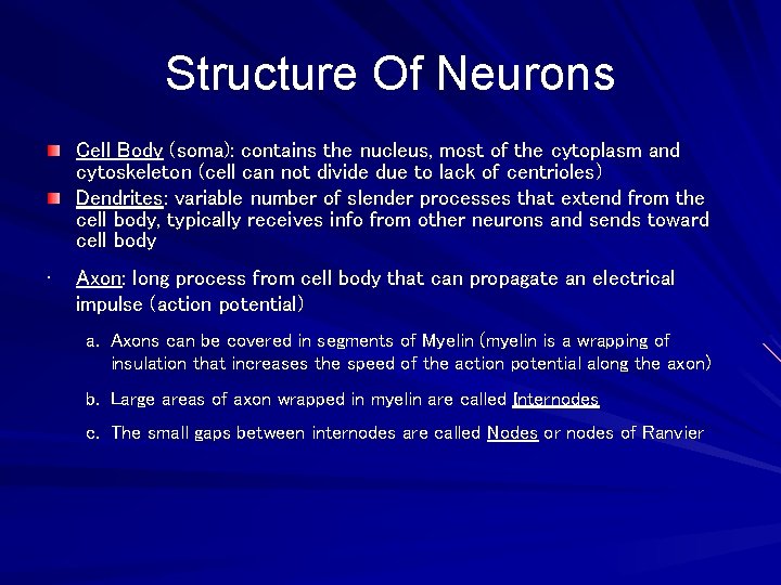 Structure Of Neurons Cell Body (soma): contains the nucleus, most of the cytoplasm and