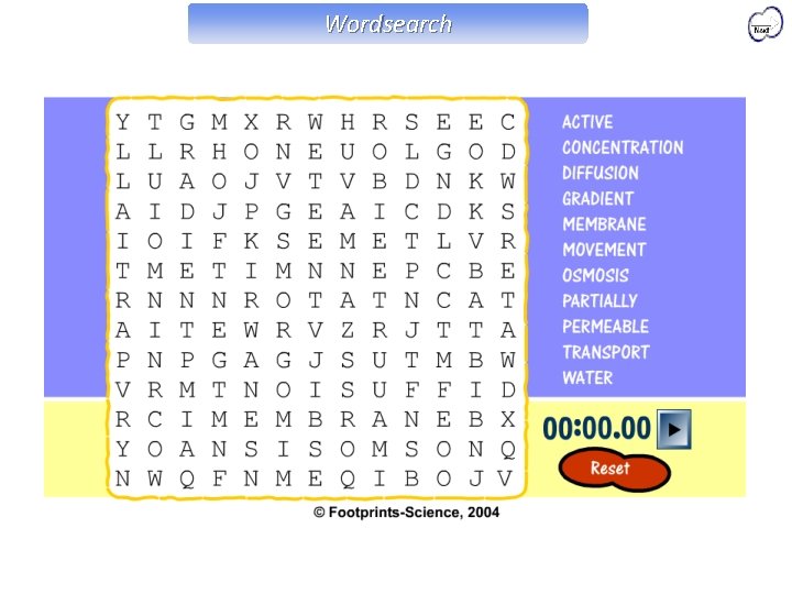 Wordsearch 