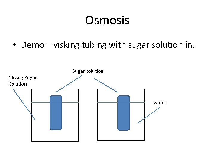 Osmosis • Demo – visking tubing with sugar solution in. Strong Sugar Solution Sugar