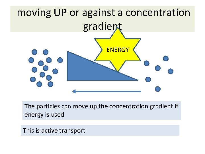 moving UP or against a concentration gradient ENERGY The particles can move up the