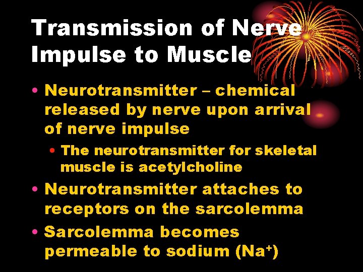 Transmission of Nerve Impulse to Muscle • Neurotransmitter – chemical released by nerve upon