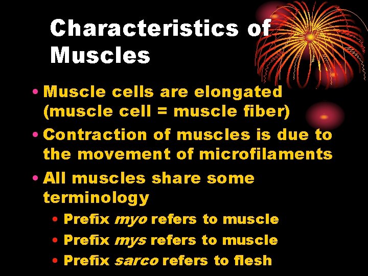 Characteristics of Muscles • Muscle cells are elongated (muscle cell = muscle fiber) •