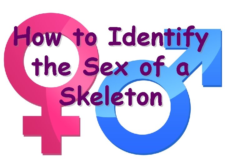 How to Identify the Sex of a Skeleton 