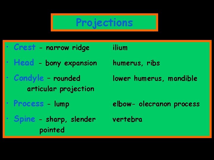 Projections • Crest - narrow ridge ilium • Head - bony expansion humerus, ribs