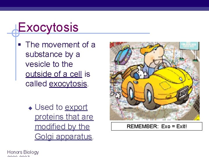 Exocytosis § The movement of a substance by a vesicle to the outside of