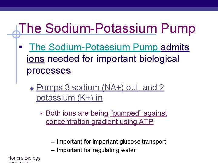 The Sodium-Potassium Pump § The Sodium-Potassium Pump admits ions needed for important biological processes