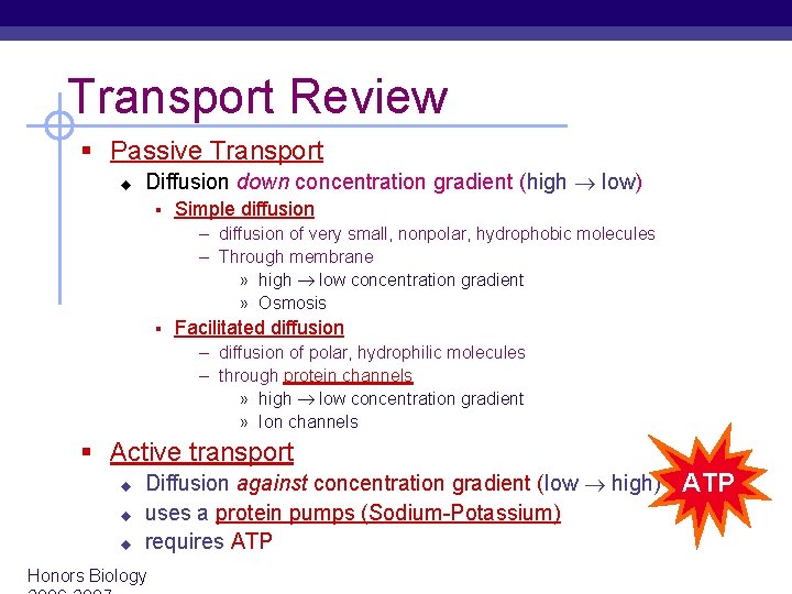 Transport Review § Passive Transport u Diffusion down concentration gradient (high low) § Simple