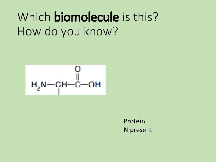 Which biomolecule is this? How do you know? Protein N present Which biomolecule is this? How do you know? Protein N present