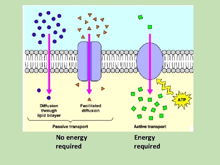 No energy required Energy required No energy required Energy required
