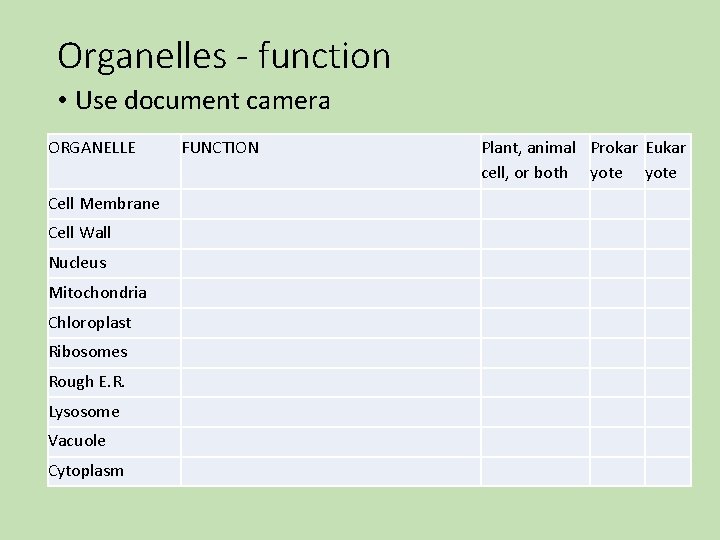 Organelles - function • Use document camera ORGANELLE Cell Membrane Cell Wall Nucleus Mitochondria Organelles - function • Use document camera ORGANELLE Cell Membrane Cell Wall Nucleus Mitochondria