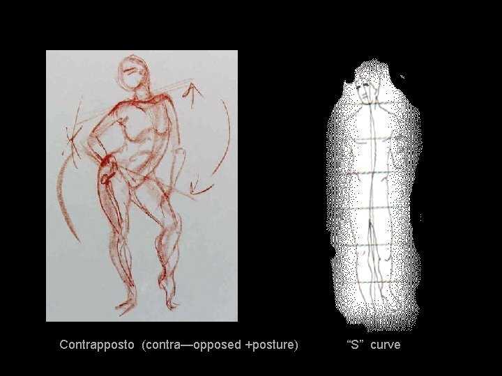 Contrapposto (contra—opposed +posture) “S” curve 