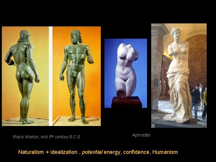 Riace Warrior, mid 5 th century B. C. E. Aphrodite Naturalism + idealization ,