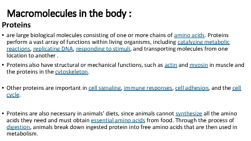 Macromolecules in the body : Proteins • are large biological molecules consisting of one