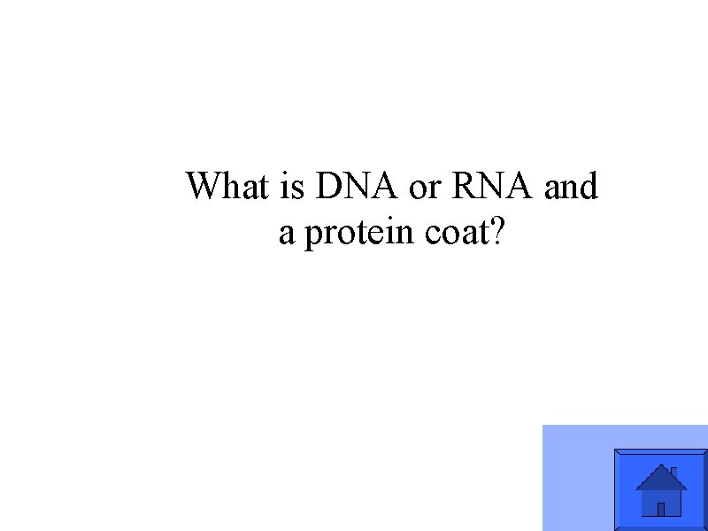 What is DNA or RNA and a protein coat? 