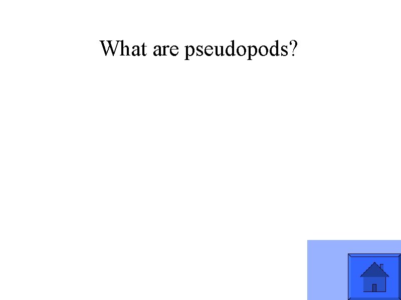 What are pseudopods? 